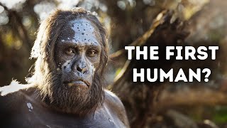 Evolution of Humans Documentary [upl. by Eitak656]