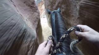 Riding Horse Through Narrowest Slot Canyon In Kanab Utah [upl. by Goto]