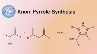 Knorr Pyrrole Synthesis  Organic Chemistry [upl. by Yttig]