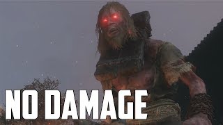 Sekiro Shadows Die Twice  All MiniBosses No Damage [upl. by Alpers]