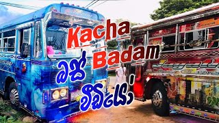 2022 සුපිරිම බස් වීඩියෝ ❤️ Kcha Badam Bus Dj ❤️ 2022 කචා බදම් Song Dj ❤️මිලියන 18 Views ❤️ [upl. by Bourn]