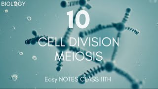 class 11th BIOLOGY chapter 17 CELL DIVISION and CELL CYCLE  MEIOSIS  super notes neet biology [upl. by Nord]