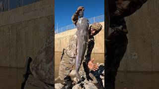 Cortez’s biggest fish of the day fishing arkansasriver arkansas Viral [upl. by Sidnarb]