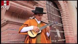 ADIOS PUEBLO DE AYACUCHO Charango Peruano  PUKA [upl. by Kinny]