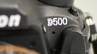 Nikon D500  What it does it does very very well [upl. by Wallinga]