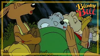 BLINKY BILL AND THE FEUD  Episode 17  Season 2  The Adventures of Blinky Bill [upl. by Aleciram325]