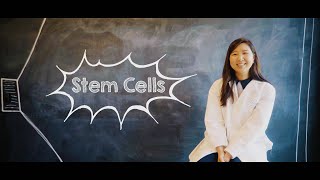 What Are Stem Cells [upl. by Enorel]