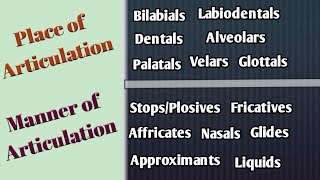 Place and Manner of Articulation in UrduHindi Articulatory Phonetics Speech Organs Speech Sounds [upl. by Eeimaj]