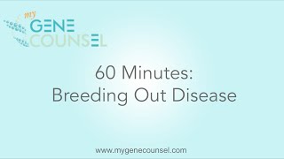 60 Minutes Breeding Out Disease  My Gene Counsel [upl. by Georg]