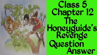 Class 5Chapter 12The Honeyguides RevengeQuestions amp Answers englishmasti7114 [upl. by Hsiri]