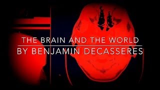 The Brain And The World ITheistic idealism [upl. by Siuraj]