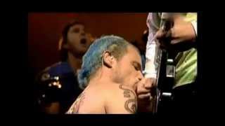 red hot chili peppers cabron sep 29 2002 mexico rare [upl. by Raab]