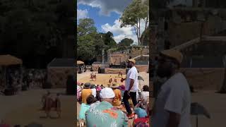 Brolga Dance Academy at Dance Rites 2023 [upl. by Whitson996]