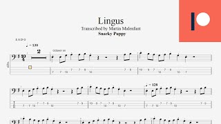 Snarky Puppy  Lingus bass tab [upl. by Imena]