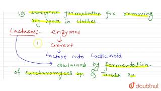 What are lipases lactases and rennet   12  MICROBES IN HUMAN WELFARE  BIOLOGY  SANTRA PUBL [upl. by Onairda]