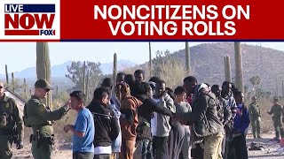 Noncitizens on election voting rolls Republicans demand answers on election integrity [upl. by Erminia]