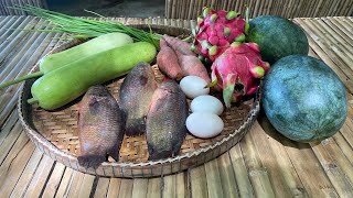 Healthy Food Fried gourd with eggs and fried fish [upl. by Eigram]