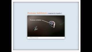 How HCV protease inhibitors work [upl. by Ambrosi]