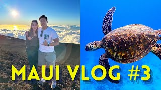 Animal Sanctuary😸 Mount Haleakalā🏔️ BEEG TURTLES🐢🐢amp MORE Maui Hawaii Vlog 2024 Part 3 [upl. by Yecniuq]