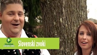 Slovenski zvoki  Daj mi srce Uradni videospot [upl. by Aiyt637]