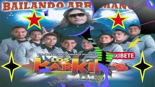 LOS KARKIS MIX [upl. by Aynnek]