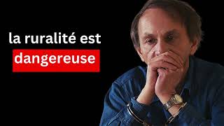 Michel Houellebecq sexprime sur les habitants des zones rurales [upl. by Dranyam113]