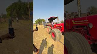 😱King Sona Ne bhadur Ghode ki halat kharab kar de🚜😱  shorts minivlog shortminivlog [upl. by Bonns570]