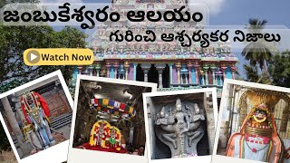 జంబుకేశ్వరం ఆలయ రహస్యాలు   Jambukeswarar Temple  Tiruchirapalli  Telugu  Velpu [upl. by Alleuqahs]