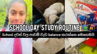 STUDY VLOG 📚  school day study routine  තවත් ඉස්කෝලේ දවසක් 🌻😍 studyvlog study viral [upl. by Norbel]