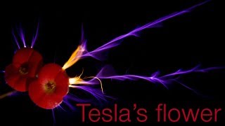 Teslas flower [upl. by Ideih]