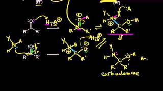 Formation of imines and enamines  Aldehydes and ketones  Organic chemistry  Khan Academy [upl. by Zechariah]