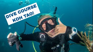 Koh Tao Diving 🐠 PADI Open Water Diver Course [upl. by Brigitte]