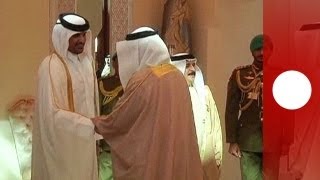 Qatar Tamim ben Hamad Al Thani è il nuovo emiro [upl. by Danyelle]