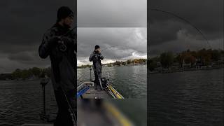 CAST to CATCH Walleye livescope walleye shorts [upl. by Aikyt]