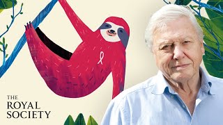 Why is biodiversity important  with Sir David Attenborough  The Royal Society [upl. by Silden]