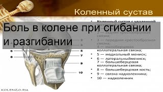 Боль в колене при сгибании и разгибании [upl. by Fein]