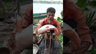 Incredible Huge Pangasius Fish Cutting Skills shorts [upl. by Mansfield]