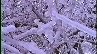 North American Ice Storm 1998 January 7th 1998 [upl. by Lodnar205]