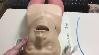 How to Intubate Manual Laryngoscopy [upl. by Buffo115]