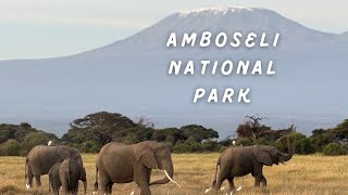 Amboseli National Park [upl. by Laird]