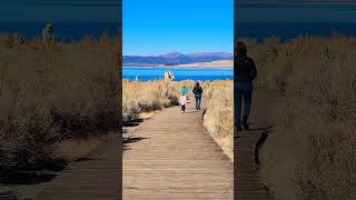 Mono Lake ⛰️ travel nature alternativelifestyle homeschooling monolake sierranevadamountains [upl. by Albert]