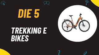 Die 5 Besten Trekking E Bikes Test 2024  Top 5 Trekking E Bikes Vergleich [upl. by Tiduj]