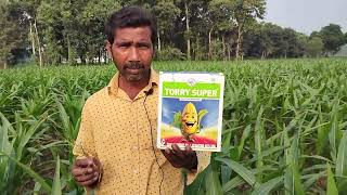 SPF TECHNOLOGY SELECTIVE HERBICIDE FOR MAIZE CROP  IIL  TORRY SUPER [upl. by Aidualc]