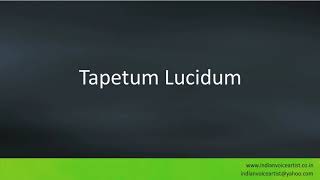 Pronunciation of the words quotTapetum Lucidumquot [upl. by Adamik70]