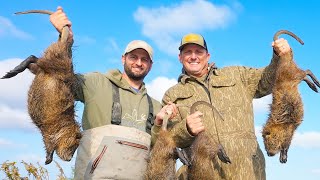 Hunting Massive Marsh Rats from a boat Catch Clean Cook Cajun Rat Rolls [upl. by Afirahs]