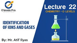 Chemistry Lec 22  Identification of Ions and Gases  O Levels Pro [upl. by Malvin]