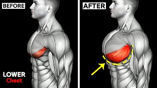 THE ONLY 10 Lower Chest Exercises You Need 🔥 [upl. by Kravits]