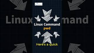 Master the pwd command in Linux  🖥️ linuxadministrator programming linuxguides [upl. by Mahla586]