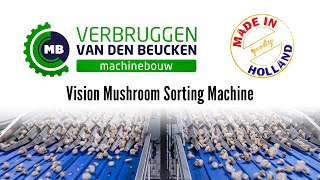 Vision Mushroom Sorting Machine [upl. by Akerdna741]