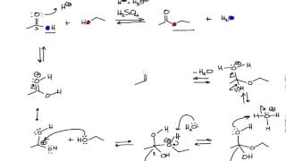 Mechanism of the Fischer Esterification in Organic Chemistry [upl. by Assiron]